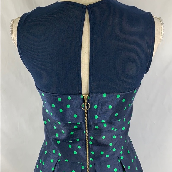 Taylor pleated A-line, mesh dress with pockets! - Picture 5 of 8